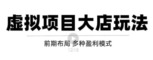 虚拟项目月入几万大店玩法分享，多店操作利润倍增（快速起店盈利）-林文副业站