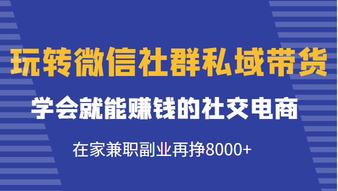 玩转微信社群私域带货，学会就能赚钱的社交电商，在家兼职副业再挣8000+-林文副业站