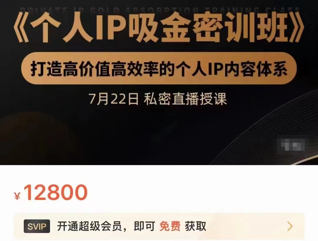 个人IP吸金密训班，打造高价值高效率的个人IP内容体系（价值12800元）-林文副业站