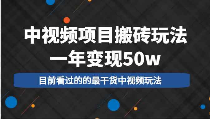中视频项目搬砖玩法，一年变现50w，目前看过的的最干货中视频玩法-林文副业站