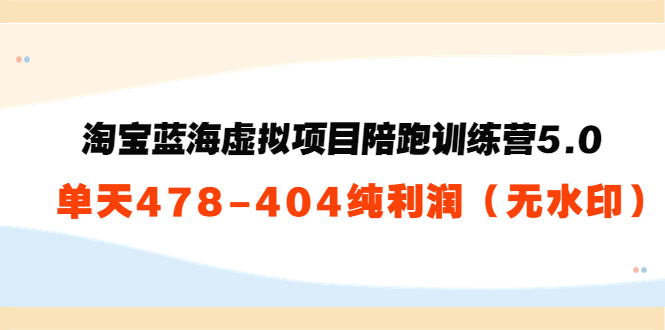 淘宝蓝海虚拟项目陪跑训练营5.0：单天478纯利润-林文副业站