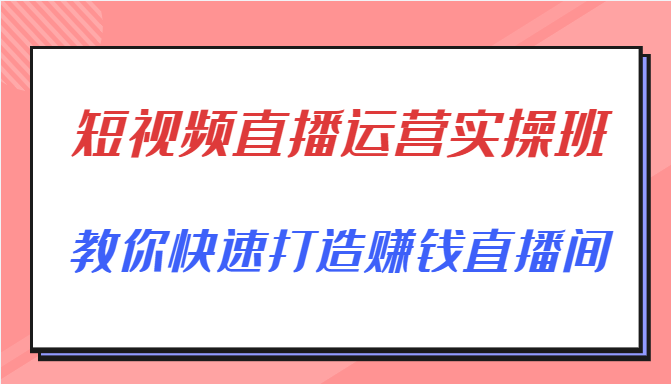 短视频直播运营实操班，直播带货精细化运营实操，教你快速打造赚钱直播间-林文副业站