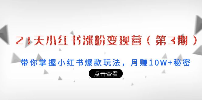 21天小红书涨粉变现营（第3期）：带你掌握小红书爆款玩法，月赚10W+秘密-林文副业站