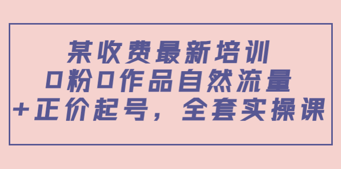 某最新收费培训内容：0粉0作品自然流量+正价起号，全套实操课-林文副业站
