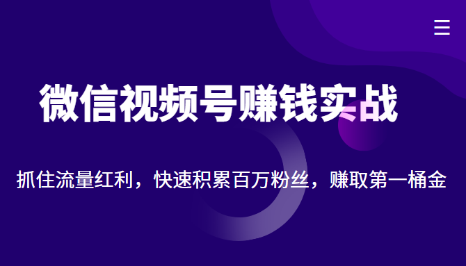 微信视频号赚钱实战：抓住流量红利，快速积累百万粉丝，赚取你的第一桶金-林文副业站
