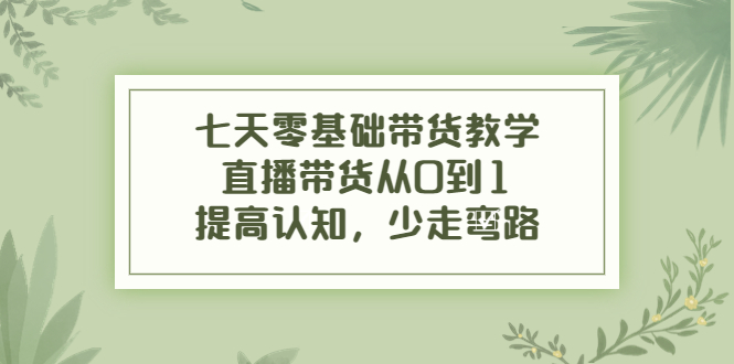 七天零基础带货教学，直播带货从0到1，提高认知，少走弯路-林文副业站