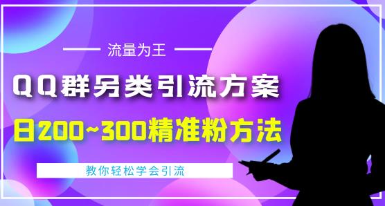 价值888的QQ群另类引流方案，半自动操作日200~300精准粉方法【视频教程】-林文副业站