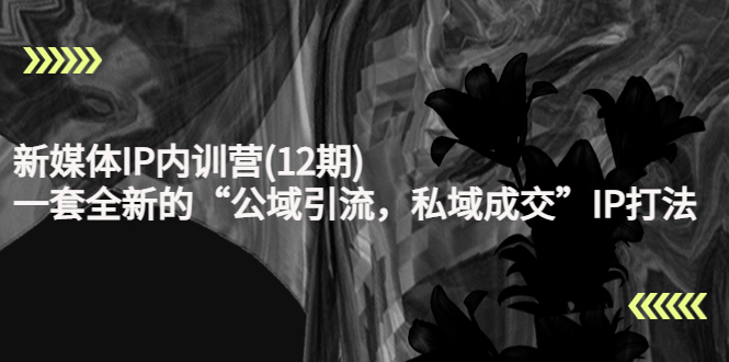 新媒体IP内训营(12期)，一套全新的“公域引流，私域成交”IP打法，直接带走-林文副业站