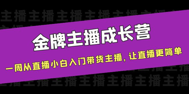 金牌主播成长营，一周从直播小白入门带货主播，让直播更简单-林文副业站