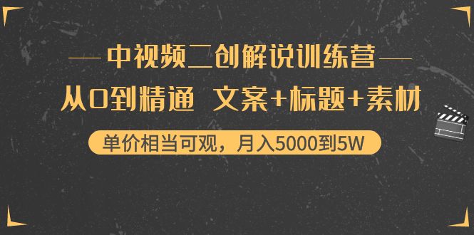 中视频二创解说训练营：从0到精通 文案+标题+素材、月入5000到5W-林文副业站