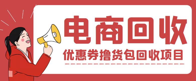 外面收费388的电商回收项目，一单利润100+-林文副业站