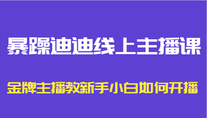 暴躁迪迪线上主播课，金牌主播教新手小白如何开播-林文副业站