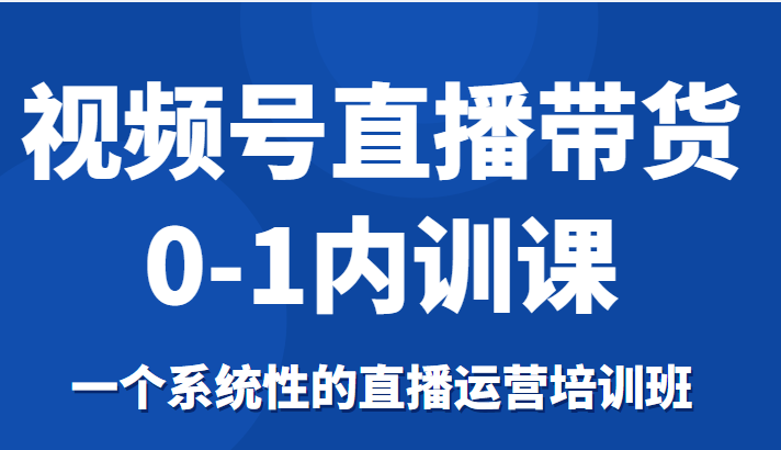 视频号直播带货0-1内训课，一个系统性的直播运营培训班-林文副业站