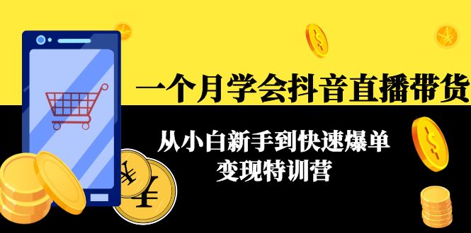 一个月学会抖音直播带货：从小白新手到快速爆单变现特训营(63节课)-林文副业站