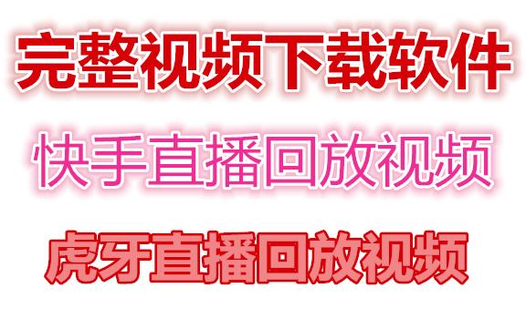 快手直播回放视频/虎牙直播回放视频完整下载(电脑软件+视频教程)-林文副业站