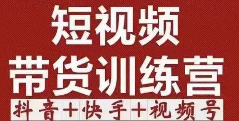 短视频带货特训营（第12期）抖音+快手+视频号：收益巨大，简单粗暴！-林文副业站