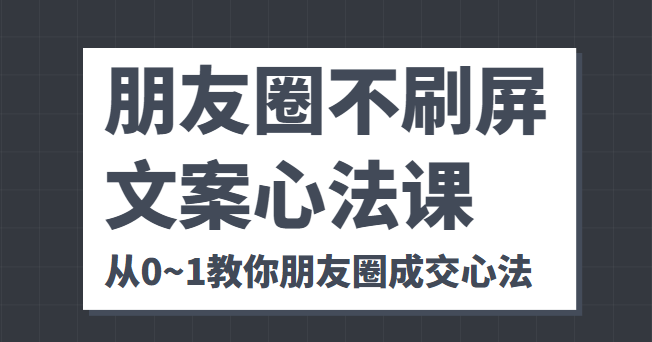 朋友圈不刷屏文案心法课 人人都要懂的商业逻辑 从0~1教你朋友圈成交心法-林文副业站