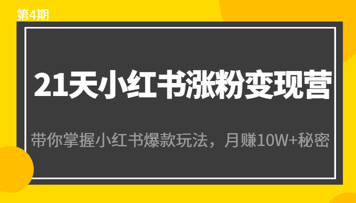 21天小红书涨粉变现营（第4期）：带你掌握小红书爆款玩法，月赚10W+秘密-林文副业站