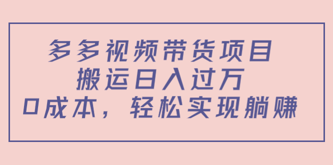 多多视频带货项目，搬运日入过万，0成本，轻松实现躺赚（教程+软件）-林文副业站