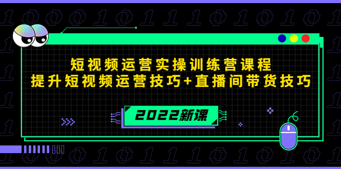 2022短视频运营实操训练营课程，提升短视频运营技巧+直播间带货技巧-林文副业站