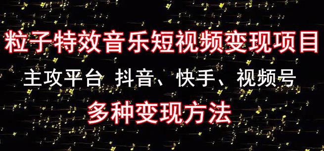 黄岛主《粒子特效音乐短视频变现项目》主攻平台抖音、快手、视频号多种变现方法-林文副业站