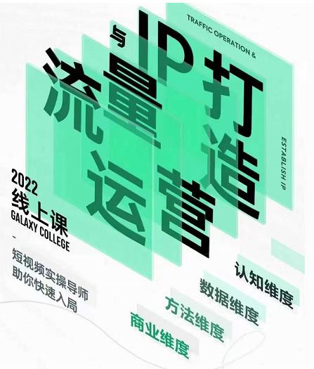大蓝流量运营&个人ip打造课，短视频带货/爆款文案/流量运营/直播入门/镜头变现/流量商业-林文副业站