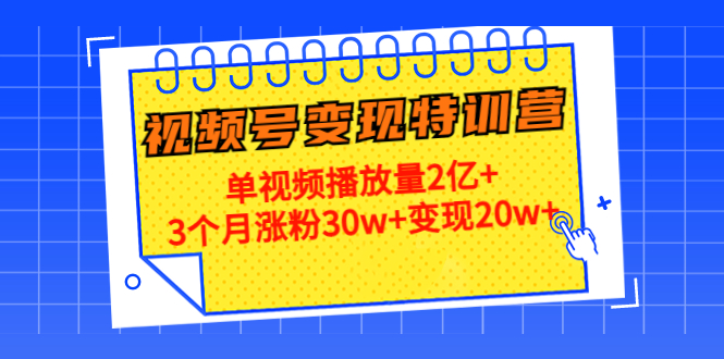 21天视频号变现特训营：单视频播放量2亿+3个月涨粉30w+变现20w+（第14期）-林文副业站