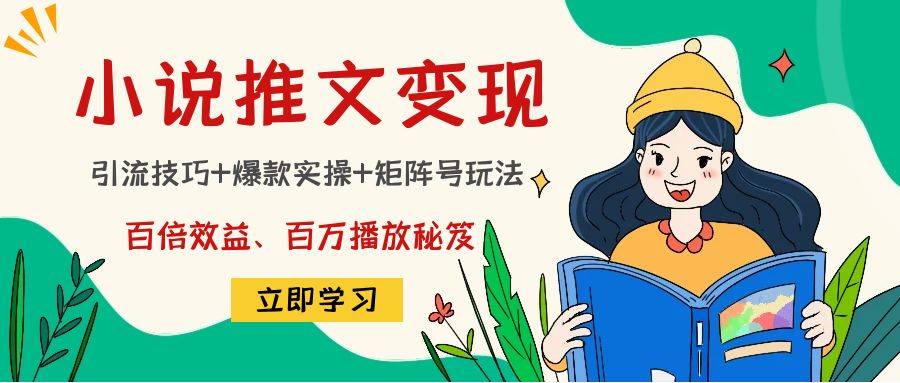小说推文训练营：引流技巧+爆款实操+矩阵号玩法，百倍效益、百万播放秘笈-林文副业站