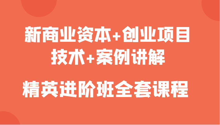 新商业资本+创业项目，技术+案例讲解，精英进阶班全套课程-林文副业站