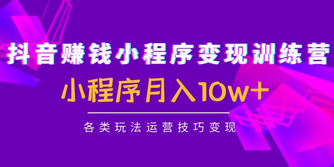 抖音赚钱小程序变现训练营：小程序月入10w+各类玩法运营技巧变现-林文副业站