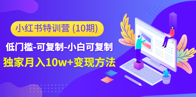 小红书特训营（第10期）低门槛-可复制-小白可复制-独家月入10w+变现方法-林文副业站