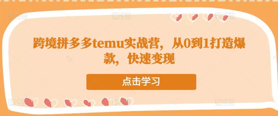 跨境拼多多temu实战营，从0到1打造爆款，快速变现-林文副业站