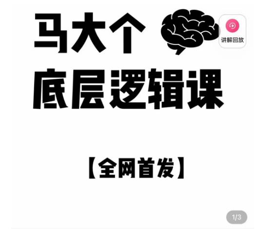 马大个·底层逻辑课，51节底层逻辑智慧课-价值1980元-林文副业站