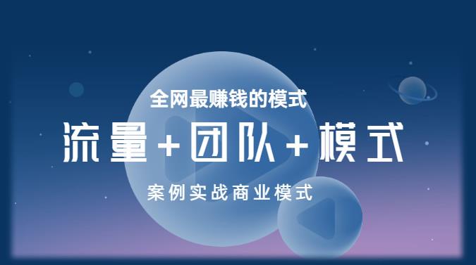 王冲老师《流量+团队+模式》商业模式实战课，全网最赚钱的模式-林文副业站