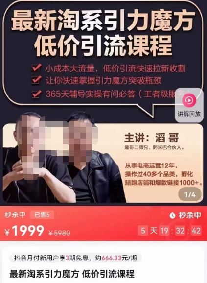 最新淘系引力魔方低价引流课程，小成本大流量，低价引流快速拉新收割-林文副业站