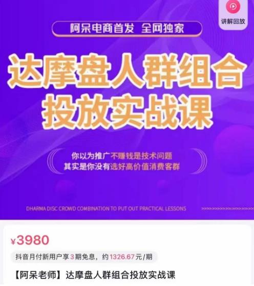 阿呆电商·达摩盘人群组合投放实战课，你以为推广不赚钱是技术问题，其实是你没有选好高价值消费客群-林文副业站