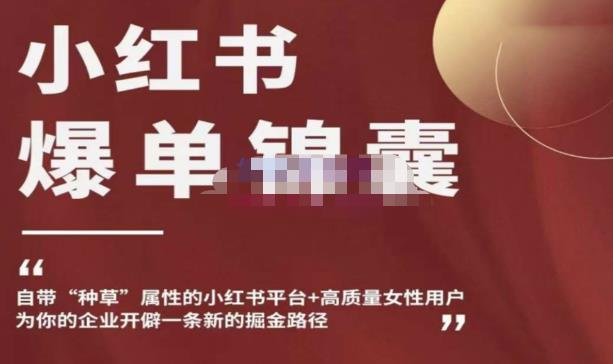 小红书爆单锦囊，自带种草属性+高质量女性用户，为你的企业开辟一条新的掘金路径-林文副业站