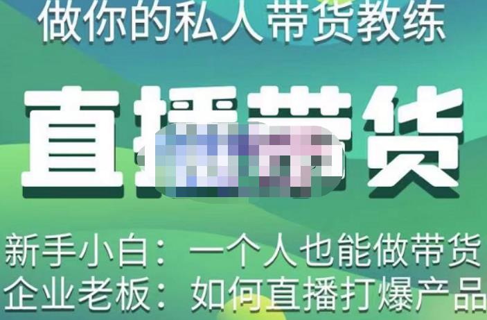 硬核传媒·直播带货（私人教练），实操实战教学，通俗易懂，学完后新手小白一个人也能做带货-林文副业站