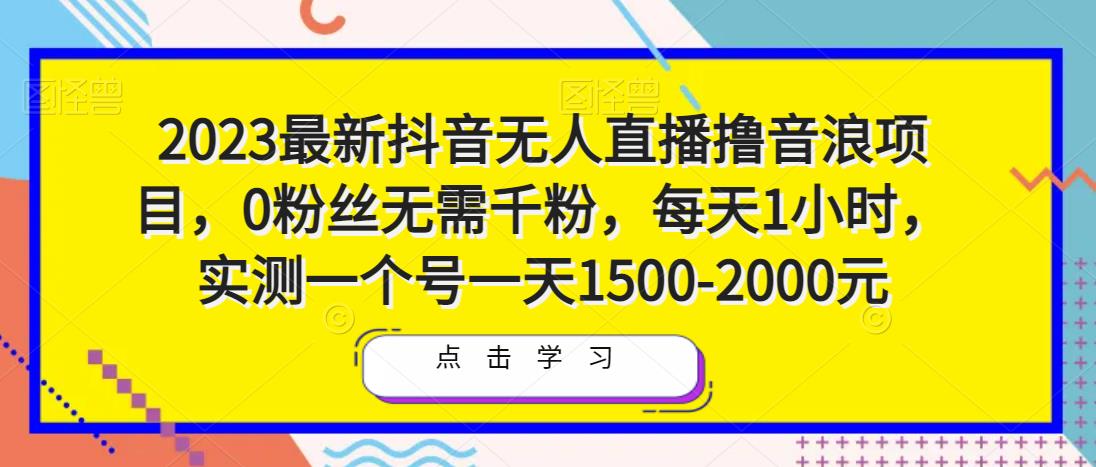 2023最新抖音无人直播撸音浪项目，0粉丝无需千粉，每天1小时，实测一个号一天1500-2000元-林文副业站