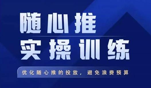 飞哥·随心推实操训练，优化随心推投放，避免浪费预算-林文副业站