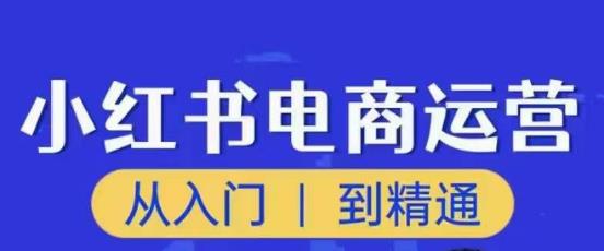 顽石小红书电商高阶运营课程，从入门到精通，玩法流程持续更新-林文副业站