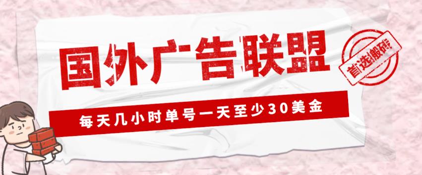 外面收费1980的最新国外LEAD广告联盟搬砖项目，单号一天至少30美金【详细玩法教程】-林文副业站