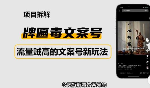 2023抖音快手毒文案新玩法，牌匾文案号，起号快易变现-林文副业站