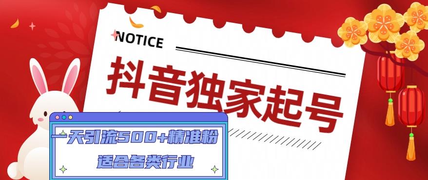 抖音独家起号，一天引流500+精准粉，适合各类行业（9节视频课）-林文副业站