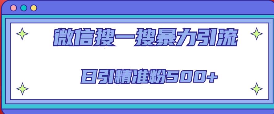 微信搜一搜引流全系列课程，日引精准粉500+（8节课）-林文副业站