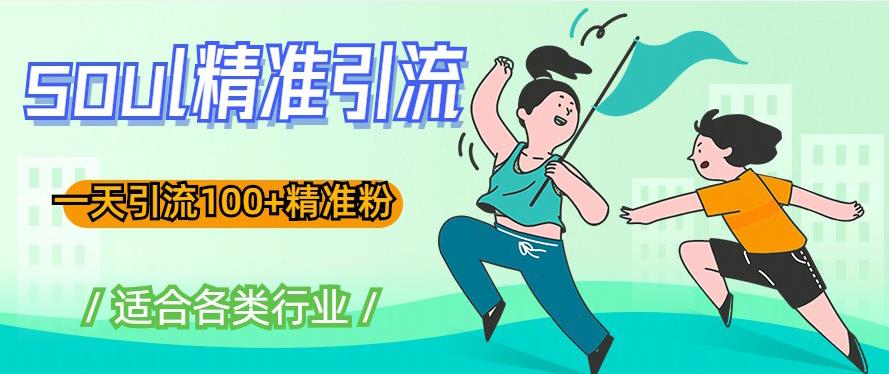 soul精准引流系列课程，一天引流100+精准粉，适合各类行业-林文副业站
