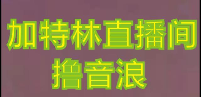 抖音加特林直播间搭建技术，抖音0粉开播，暴力撸音浪，2023新口子，每天800+【素材+详细教程】-林文副业站