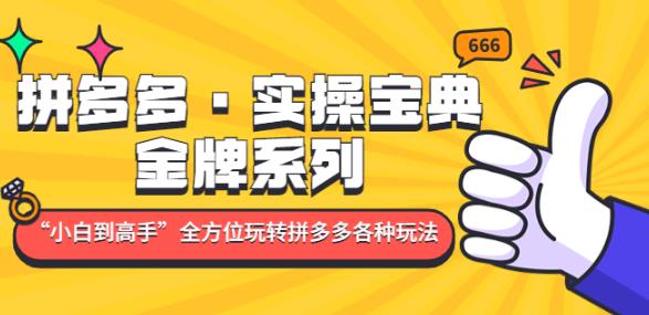 拼多多·实操宝典：金牌系列“小白到高手”带你全方位玩转拼多多各种玩法-林文副业站