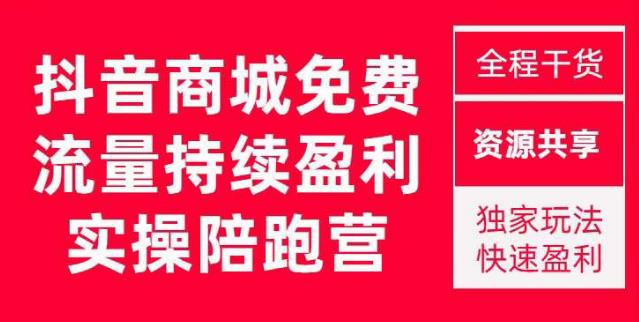 抖音商城搜索持续盈利陪跑成长营，抖音商城搜索从0-1、从1到10的全面解决方案-林文副业站
