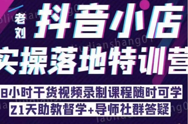 抖音小店实操落地特训营：抖音小店无货源精细化运营，抖店商品卡流量（22节）-林文副业站